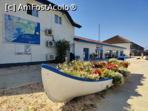 [P40] Gura Portiței » foto by crismis
 - 
<span class="allrVoted glyphicon glyphicon-heart hidden" id="av1500855"></span>
<a class="m-l-10 hidden" id="sv1500855" onclick="voting_Foto_DelVot(,1500855,28602)" role="button">șterge vot <span class="glyphicon glyphicon-remove"></span></a>
<a id="v91500855" class=" c-red"  onclick="voting_Foto_SetVot(1500855)" role="button"><span class="glyphicon glyphicon-heart-empty"></span> <b>LIKE</b> = Votează poza</a> <img class="hidden"  id="f1500855W9" src="/imagini/loader.gif" border="0" /><span class="AjErrMes hidden" id="e1500855ErM"></span>