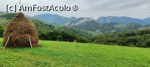 [P14] Pitorescul la el acasă. » foto by tata123 🔱
 - 
<span class="allrVoted glyphicon glyphicon-heart hidden" id="av1499285"></span>
<a class="m-l-10 hidden" id="sv1499285" onclick="voting_Foto_DelVot(,1499285,28685)" role="button">șterge vot <span class="glyphicon glyphicon-remove"></span></a>
<a id="v91499285" class=" c-red"  onclick="voting_Foto_SetVot(1499285)" role="button"><span class="glyphicon glyphicon-heart-empty"></span> <b>LIKE</b> = Votează poza</a> <img class="hidden"  id="f1499285W9" src="/imagini/loader.gif" border="0" /><span class="AjErrMes hidden" id="e1499285ErM"></span>