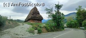 [P05] „Căciuli” din paie. » foto by tata123 🔱
 - 
<span class="allrVoted glyphicon glyphicon-heart hidden" id="av1499276"></span>
<a class="m-l-10 hidden" id="sv1499276" onclick="voting_Foto_DelVot(,1499276,28685)" role="button">șterge vot <span class="glyphicon glyphicon-remove"></span></a>
<a id="v91499276" class=" c-red"  onclick="voting_Foto_SetVot(1499276)" role="button"><span class="glyphicon glyphicon-heart-empty"></span> <b>LIKE</b> = Votează poza</a> <img class="hidden"  id="f1499276W9" src="/imagini/loader.gif" border="0" /><span class="AjErrMes hidden" id="e1499276ErM"></span>