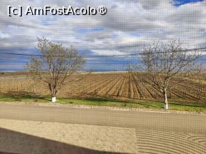 [P10] Camera noastră » foto by crismis
 - 
<span class="allrVoted glyphicon glyphicon-heart hidden" id="av1453136"></span>
<a class="m-l-10 hidden" id="sv1453136" onclick="voting_Foto_DelVot(,1453136,28764)" role="button">șterge vot <span class="glyphicon glyphicon-remove"></span></a>
<a id="v91453136" class=" c-red"  onclick="voting_Foto_SetVot(1453136)" role="button"><span class="glyphicon glyphicon-heart-empty"></span> <b>LIKE</b> = Votează poza</a> <img class="hidden"  id="f1453136W9" src="/imagini/loader.gif" border="0" /><span class="AjErrMes hidden" id="e1453136ErM"></span>