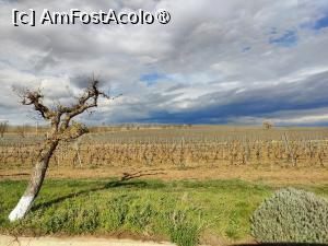 [P02] Vie de-o parte și de alta » foto by crismis
 - 
<span class="allrVoted glyphicon glyphicon-heart hidden" id="av1453128"></span>
<a class="m-l-10 hidden" id="sv1453128" onclick="voting_Foto_DelVot(,1453128,28764)" role="button">șterge vot <span class="glyphicon glyphicon-remove"></span></a>
<a id="v91453128" class=" c-red"  onclick="voting_Foto_SetVot(1453128)" role="button"><span class="glyphicon glyphicon-heart-empty"></span> <b>LIKE</b> = Votează poza</a> <img class="hidden"  id="f1453128W9" src="/imagini/loader.gif" border="0" /><span class="AjErrMes hidden" id="e1453128ErM"></span>