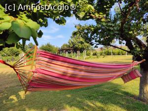 [P11] Hamacul nostru și o parte din vie și livadă » foto by crismis
 - 
<span class="allrVoted glyphicon glyphicon-heart hidden" id="av1463616"></span>
<a class="m-l-10 hidden" id="sv1463616" onclick="voting_Foto_DelVot(,1463616,28836)" role="button">șterge vot <span class="glyphicon glyphicon-remove"></span></a>
<a id="v91463616" class=" c-red"  onclick="voting_Foto_SetVot(1463616)" role="button"><span class="glyphicon glyphicon-heart-empty"></span> <b>LIKE</b> = Votează poza</a> <img class="hidden"  id="f1463616W9" src="/imagini/loader.gif" border="0" /><span class="AjErrMes hidden" id="e1463616ErM"></span>