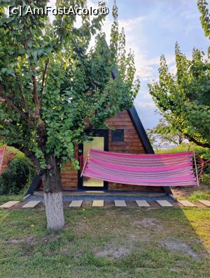 [P12] Căsuța noastră cu hamac :) » foto by crismis
 - 
<span class="allrVoted glyphicon glyphicon-heart hidden" id="av1463617"></span>
<a class="m-l-10 hidden" id="sv1463617" onclick="voting_Foto_DelVot(,1463617,28836)" role="button">șterge vot <span class="glyphicon glyphicon-remove"></span></a>
<a id="v91463617" class=" c-red"  onclick="voting_Foto_SetVot(1463617)" role="button"><span class="glyphicon glyphicon-heart-empty"></span> <b>LIKE</b> = Votează poza</a> <img class="hidden"  id="f1463617W9" src="/imagini/loader.gif" border="0" /><span class="AjErrMes hidden" id="e1463617ErM"></span>