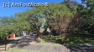 [P02] la pas prin Colonia » foto by robert
 - 
<span class="allrVoted glyphicon glyphicon-heart hidden" id="av1529217"></span>
<a class="m-l-10 hidden" id="sv1529217" onclick="voting_Foto_DelVot(,1529217,28903)" role="button">șterge vot <span class="glyphicon glyphicon-remove"></span></a>
<a id="v91529217" class=" c-red"  onclick="voting_Foto_SetVot(1529217)" role="button"><span class="glyphicon glyphicon-heart-empty"></span> <b>LIKE</b> = Votează poza</a> <img class="hidden"  id="f1529217W9" src="/imagini/loader.gif" border="0" /><span class="AjErrMes hidden" id="e1529217ErM"></span>