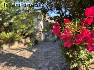[P27] Stradă în Colonie,vegetație » foto by AZE
 - 
<span class="allrVoted glyphicon glyphicon-heart hidden" id="av1534900"></span>
<a class="m-l-10 hidden" id="sv1534900" onclick="voting_Foto_DelVot(,1534900,28903)" role="button">șterge vot <span class="glyphicon glyphicon-remove"></span></a>
<a id="v91534900" class=" c-red"  onclick="voting_Foto_SetVot(1534900)" role="button"><span class="glyphicon glyphicon-heart-empty"></span> <b>LIKE</b> = Votează poza</a> <img class="hidden"  id="f1534900W9" src="/imagini/loader.gif" border="0" /><span class="AjErrMes hidden" id="e1534900ErM"></span>