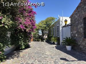[P06] Stradă în Colonia » foto by AZE
 - 
<span class="allrVoted glyphicon glyphicon-heart hidden" id="av1534879"></span>
<a class="m-l-10 hidden" id="sv1534879" onclick="voting_Foto_DelVot(,1534879,28903)" role="button">șterge vot <span class="glyphicon glyphicon-remove"></span></a>
<a id="v91534879" class=" c-red"  onclick="voting_Foto_SetVot(1534879)" role="button"><span class="glyphicon glyphicon-heart-empty"></span> <b>LIKE</b> = Votează poza</a> <img class="hidden"  id="f1534879W9" src="/imagini/loader.gif" border="0" /><span class="AjErrMes hidden" id="e1534879ErM"></span>