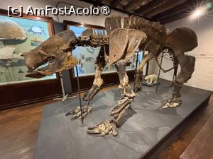 [P18] Artefacte paleontologice » foto by AZE
 - 
<span class="allrVoted glyphicon glyphicon-heart hidden" id="av1535780"></span>
<a class="m-l-10 hidden" id="sv1535780" onclick="voting_Foto_DelVot(,1535780,28903)" role="button">șterge vot <span class="glyphicon glyphicon-remove"></span></a>
<a id="v91535780" class=" c-red"  onclick="voting_Foto_SetVot(1535780)" role="button"><span class="glyphicon glyphicon-heart-empty"></span> <b>LIKE</b> = Votează poza</a> <img class="hidden"  id="f1535780W9" src="/imagini/loader.gif" border="0" /><span class="AjErrMes hidden" id="e1535780ErM"></span>