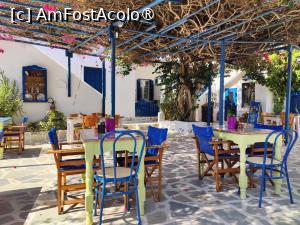 [P03] Dora Apts, locul de mic dejun » foto by crismis
 - 
<span class="allrVoted glyphicon glyphicon-heart hidden" id="av1475192"></span>
<a class="m-l-10 hidden" id="sv1475192" onclick="voting_Foto_DelVot(,1475192,28933)" role="button">șterge vot <span class="glyphicon glyphicon-remove"></span></a>
<a id="v91475192" class=" c-red"  onclick="voting_Foto_SetVot(1475192)" role="button"><span class="glyphicon glyphicon-heart-empty"></span> <b>LIKE</b> = Votează poza</a> <img class="hidden"  id="f1475192W9" src="/imagini/loader.gif" border="0" /><span class="AjErrMes hidden" id="e1475192ErM"></span>