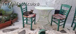 [P11] Taverna TranzisToRaki, una dintre clientele obișnuite » foto by irinad
 - 
<span class="allrVoted glyphicon glyphicon-heart hidden" id="av1496394"></span>
<a class="m-l-10 hidden" id="sv1496394" onclick="voting_Foto_DelVot(,1496394,29045)" role="button">șterge vot <span class="glyphicon glyphicon-remove"></span></a>
<a id="v91496394" class=" c-red"  onclick="voting_Foto_SetVot(1496394)" role="button"><span class="glyphicon glyphicon-heart-empty"></span> <b>LIKE</b> = Votează poza</a> <img class="hidden"  id="f1496394W9" src="/imagini/loader.gif" border="0" /><span class="AjErrMes hidden" id="e1496394ErM"></span>