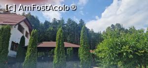 [P05] Imagine de afara » foto by delinyka
 - 
<span class="allrVoted glyphicon glyphicon-heart hidden" id="av1497071"></span>
<a class="m-l-10 hidden" id="sv1497071" onclick="voting_Foto_DelVot(,1497071,29056)" role="button">șterge vot <span class="glyphicon glyphicon-remove"></span></a>
<a id="v91497071" class=" c-red"  onclick="voting_Foto_SetVot(1497071)" role="button"><span class="glyphicon glyphicon-heart-empty"></span> <b>LIKE</b> = Votează poza</a> <img class="hidden"  id="f1497071W9" src="/imagini/loader.gif" border="0" /><span class="AjErrMes hidden" id="e1497071ErM"></span>