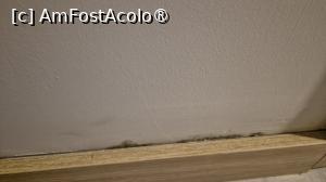 [P09] A aparut deja mucegaiul » foto by adr!an
 - 
<span class="allrVoted glyphicon glyphicon-heart hidden" id="av1496500"></span>
<a class="m-l-10 hidden" id="sv1496500" onclick="voting_Foto_DelVot(,1496500,29107)" role="button">șterge vot <span class="glyphicon glyphicon-remove"></span></a>
<a id="v91496500" class=" c-red"  onclick="voting_Foto_SetVot(1496500)" role="button"><span class="glyphicon glyphicon-heart-empty"></span> <b>LIKE</b> = Votează poza</a> <img class="hidden"  id="f1496500W9" src="/imagini/loader.gif" border="0" /><span class="AjErrMes hidden" id="e1496500ErM"></span>