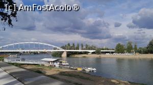 [P29] râul Tisa » foto by Yolanda
 - 
<span class="allrVoted glyphicon glyphicon-heart hidden" id="av1497918"></span>
<a class="m-l-10 hidden" id="sv1497918" onclick="voting_Foto_DelVot(,1497918,29121)" role="button">șterge vot <span class="glyphicon glyphicon-remove"></span></a>
<a id="v91497918" class=" c-red"  onclick="voting_Foto_SetVot(1497918)" role="button"><span class="glyphicon glyphicon-heart-empty"></span> <b>LIKE</b> = Votează poza</a> <img class="hidden"  id="f1497918W9" src="/imagini/loader.gif" border="0" /><span class="AjErrMes hidden" id="e1497918ErM"></span>