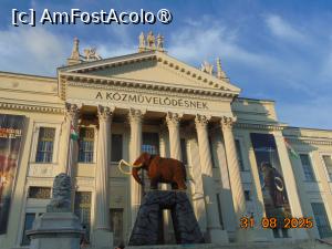 [P40] centru vechi Szeged, muzeul cu mamutul » foto by Yolanda
 - 
<span class="allrVoted glyphicon glyphicon-heart hidden" id="av1497929"></span>
<a class="m-l-10 hidden" id="sv1497929" onclick="voting_Foto_DelVot(,1497929,29121)" role="button">șterge vot <span class="glyphicon glyphicon-remove"></span></a>
<a id="v91497929" class=" c-red"  onclick="voting_Foto_SetVot(1497929)" role="button"><span class="glyphicon glyphicon-heart-empty"></span> <b>LIKE</b> = Votează poza</a> <img class="hidden"  id="f1497929W9" src="/imagini/loader.gif" border="0" /><span class="AjErrMes hidden" id="e1497929ErM"></span>