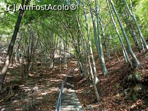 [P03] Bază trepte cetate Poenari » foto by kemi27
 - 
<span class="allrVoted glyphicon glyphicon-heart hidden" id="av1498227"></span>
<a class="m-l-10 hidden" id="sv1498227" onclick="voting_Foto_DelVot(,1498227,29123)" role="button">șterge vot <span class="glyphicon glyphicon-remove"></span></a>
<a id="v91498227" class=" c-red"  onclick="voting_Foto_SetVot(1498227)" role="button"><span class="glyphicon glyphicon-heart-empty"></span> <b>LIKE</b> = Votează poza</a> <img class="hidden"  id="f1498227W9" src="/imagini/loader.gif" border="0" /><span class="AjErrMes hidden" id="e1498227ErM"></span>