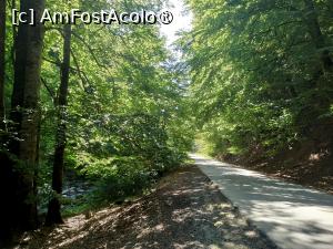 [P05] Cheile Vâlsanului » foto by kemi27
 - 
<span class="allrVoted glyphicon glyphicon-heart hidden" id="av1498229"></span>
<a class="m-l-10 hidden" id="sv1498229" onclick="voting_Foto_DelVot(,1498229,29123)" role="button">șterge vot <span class="glyphicon glyphicon-remove"></span></a>
<a id="v91498229" class=" c-red"  onclick="voting_Foto_SetVot(1498229)" role="button"><span class="glyphicon glyphicon-heart-empty"></span> <b>LIKE</b> = Votează poza</a> <img class="hidden"  id="f1498229W9" src="/imagini/loader.gif" border="0" /><span class="AjErrMes hidden" id="e1498229ErM"></span>