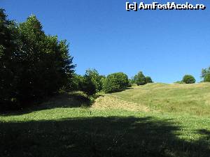 [P13] O poienita in apropierea satului Turburea » foto by Testosu'
 - 
<span class="allrVoted glyphicon glyphicon-heart hidden" id="av637532"></span>
<a class="m-l-10 hidden" id="sv637532" onclick="voting_Foto_DelVot(,637532,29123)" role="button">șterge vot <span class="glyphicon glyphicon-remove"></span></a>
<a id="v9637532" class=" c-red"  onclick="voting_Foto_SetVot(637532)" role="button"><span class="glyphicon glyphicon-heart-empty"></span> <b>LIKE</b> = Votează poza</a> <img class="hidden"  id="f637532W9" src="/imagini/loader.gif" border="0" /><span class="AjErrMes hidden" id="e637532ErM"></span>