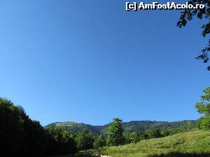 [P16] Spre Muntele Ghitu » foto by Testosu'
 - 
<span class="allrVoted glyphicon glyphicon-heart hidden" id="av637536"></span>
<a class="m-l-10 hidden" id="sv637536" onclick="voting_Foto_DelVot(,637536,29123)" role="button">șterge vot <span class="glyphicon glyphicon-remove"></span></a>
<a id="v9637536" class=" c-red"  onclick="voting_Foto_SetVot(637536)" role="button"><span class="glyphicon glyphicon-heart-empty"></span> <b>LIKE</b> = Votează poza</a> <img class="hidden"  id="f637536W9" src="/imagini/loader.gif" border="0" /><span class="AjErrMes hidden" id="e637536ErM"></span>