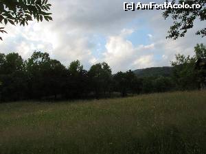 [P02]  -- <small>// FĂRĂ DESCRIERE</small> » foto by Testosu'
 - 
<span class="allrVoted glyphicon glyphicon-heart hidden" id="av637516"></span>
<a class="m-l-10 hidden" id="sv637516" onclick="voting_Foto_DelVot(,637516,29123)" role="button">șterge vot <span class="glyphicon glyphicon-remove"></span></a>
<a id="v9637516" class=" c-red"  onclick="voting_Foto_SetVot(637516)" role="button"><span class="glyphicon glyphicon-heart-empty"></span> <b>LIKE</b> = Votează poza</a> <img class="hidden"  id="f637516W9" src="/imagini/loader.gif" border="0" /><span class="AjErrMes hidden" id="e637516ErM"></span>