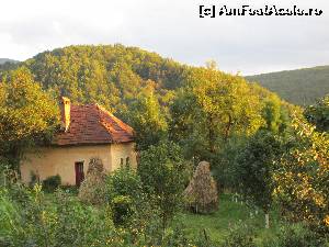 [P06] In Turburea » foto by Testosu'
 - 
<span class="allrVoted glyphicon glyphicon-heart hidden" id="av637522"></span>
<a class="m-l-10 hidden" id="sv637522" onclick="voting_Foto_DelVot(,637522,29123)" role="button">șterge vot <span class="glyphicon glyphicon-remove"></span></a>
<a id="v9637522" class=" c-red"  onclick="voting_Foto_SetVot(637522)" role="button"><span class="glyphicon glyphicon-heart-empty"></span> <b>LIKE</b> = Votează poza</a> <img class="hidden"  id="f637522W9" src="/imagini/loader.gif" border="0" /><span class="AjErrMes hidden" id="e637522ErM"></span>