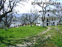 [P13]  -- <small>// FĂRĂ DESCRIERE</small> » foto by chelie_d
 - 
<span class="allrVoted glyphicon glyphicon-heart hidden" id="av67292"></span>
<a class="m-l-10 hidden" id="sv67292" onclick="voting_Foto_DelVot(,67292,29123)" role="button">șterge vot <span class="glyphicon glyphicon-remove"></span></a>
<a id="v967292" class=" c-red"  onclick="voting_Foto_SetVot(67292)" role="button"><span class="glyphicon glyphicon-heart-empty"></span> <b>LIKE</b> = Votează poza</a> <img class="hidden"  id="f67292W9" src="/imagini/loader.gif" border="0" /><span class="AjErrMes hidden" id="e67292ErM"></span>