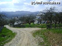 [P14]  -- <small>// FĂRĂ DESCRIERE</small> » foto by chelie_d
 - 
<span class="allrVoted glyphicon glyphicon-heart hidden" id="av67293"></span>
<a class="m-l-10 hidden" id="sv67293" onclick="voting_Foto_DelVot(,67293,29123)" role="button">șterge vot <span class="glyphicon glyphicon-remove"></span></a>
<a id="v967293" class=" c-red"  onclick="voting_Foto_SetVot(67293)" role="button"><span class="glyphicon glyphicon-heart-empty"></span> <b>LIKE</b> = Votează poza</a> <img class="hidden"  id="f67293W9" src="/imagini/loader.gif" border="0" /><span class="AjErrMes hidden" id="e67293ErM"></span>