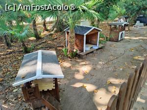 [P40] Căsuțe pentru animale abandonate » foto by crismis
 - 
<span class="allrVoted glyphicon glyphicon-heart hidden" id="av1499735"></span>
<a class="m-l-10 hidden" id="sv1499735" onclick="voting_Foto_DelVot(,1499735,29133)" role="button">șterge vot <span class="glyphicon glyphicon-remove"></span></a>
<a id="v91499735" class=" c-red"  onclick="voting_Foto_SetVot(1499735)" role="button"><span class="glyphicon glyphicon-heart-empty"></span> <b>LIKE</b> = Votează poza</a> <img class="hidden"  id="f1499735W9" src="/imagini/loader.gif" border="0" /><span class="AjErrMes hidden" id="e1499735ErM"></span>