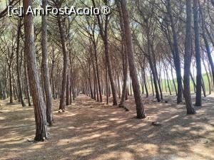 [P45] 'Frumoasă ești, pădurea mea!...' » foto by crismis
 - 
<span class="allrVoted glyphicon glyphicon-heart hidden" id="av1499740"></span>
<a class="m-l-10 hidden" id="sv1499740" onclick="voting_Foto_DelVot(,1499740,29133)" role="button">șterge vot <span class="glyphicon glyphicon-remove"></span></a>
<a id="v91499740" class=" c-red"  onclick="voting_Foto_SetVot(1499740)" role="button"><span class="glyphicon glyphicon-heart-empty"></span> <b>LIKE</b> = Votează poza</a> <img class="hidden"  id="f1499740W9" src="/imagini/loader.gif" border="0" /><span class="AjErrMes hidden" id="e1499740ErM"></span>