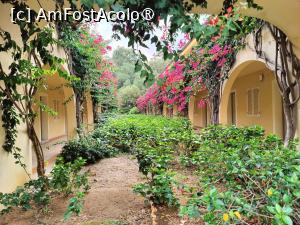 [P84] La pas prin complex » foto by crismis
 - 
<span class="allrVoted glyphicon glyphicon-heart hidden" id="av1499779"></span>
<a class="m-l-10 hidden" id="sv1499779" onclick="voting_Foto_DelVot(,1499779,29133)" role="button">șterge vot <span class="glyphicon glyphicon-remove"></span></a>
<a id="v91499779" class=" c-red"  onclick="voting_Foto_SetVot(1499779)" role="button"><span class="glyphicon glyphicon-heart-empty"></span> <b>LIKE</b> = Votează poza</a> <img class="hidden"  id="f1499779W9" src="/imagini/loader.gif" border="0" /><span class="AjErrMes hidden" id="e1499779ErM"></span>