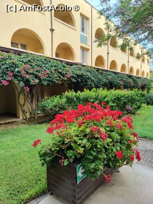 [P86] La pas prin complex » foto by crismis
 - 
<span class="allrVoted glyphicon glyphicon-heart hidden" id="av1499781"></span>
<a class="m-l-10 hidden" id="sv1499781" onclick="voting_Foto_DelVot(,1499781,29133)" role="button">șterge vot <span class="glyphicon glyphicon-remove"></span></a>
<a id="v91499781" class=" c-red"  onclick="voting_Foto_SetVot(1499781)" role="button"><span class="glyphicon glyphicon-heart-empty"></span> <b>LIKE</b> = Votează poza</a> <img class="hidden"  id="f1499781W9" src="/imagini/loader.gif" border="0" /><span class="AjErrMes hidden" id="e1499781ErM"></span>