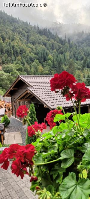 [P20] Dimineața în Albac. » foto by tata123 🔱
 - 
<span class="allrVoted glyphicon glyphicon-heart hidden" id="av1500443"></span>
<a class="m-l-10 hidden" id="sv1500443" onclick="voting_Foto_DelVot(,1500443,29136)" role="button">șterge vot <span class="glyphicon glyphicon-remove"></span></a>
<a id="v91500443" class=" c-red"  onclick="voting_Foto_SetVot(1500443)" role="button"><span class="glyphicon glyphicon-heart-empty"></span> <b>LIKE</b> = Votează poza</a> <img class="hidden"  id="f1500443W9" src="/imagini/loader.gif" border="0" /><span class="AjErrMes hidden" id="e1500443ErM"></span>