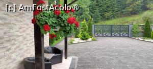 [P29] Poartă acces curte și parțial parcarea. » foto by tata123 🔱
 - 
<span class="allrVoted glyphicon glyphicon-heart hidden" id="av1500452"></span>
<a class="m-l-10 hidden" id="sv1500452" onclick="voting_Foto_DelVot(,1500452,29136)" role="button">șterge vot <span class="glyphicon glyphicon-remove"></span></a>
<a id="v91500452" class=" c-red"  onclick="voting_Foto_SetVot(1500452)" role="button"><span class="glyphicon glyphicon-heart-empty"></span> <b>LIKE</b> = Votează poza</a> <img class="hidden"  id="f1500452W9" src="/imagini/loader.gif" border="0" /><span class="AjErrMes hidden" id="e1500452ErM"></span>