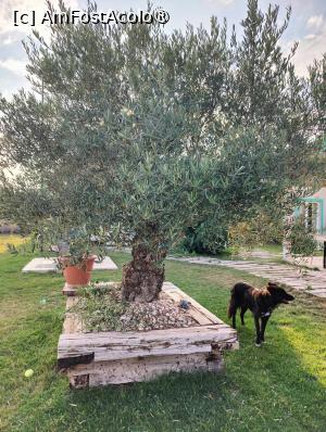 [P21] Laguna Vadu; prin incintă » foto by crismis
 - 
<span class="allrVoted glyphicon glyphicon-heart hidden" id="av1500494"></span>
<a class="m-l-10 hidden" id="sv1500494" onclick="voting_Foto_DelVot(,1500494,29137)" role="button">șterge vot <span class="glyphicon glyphicon-remove"></span></a>
<a id="v91500494" class=" c-red"  onclick="voting_Foto_SetVot(1500494)" role="button"><span class="glyphicon glyphicon-heart-empty"></span> <b>LIKE</b> = Votează poza</a> <img class="hidden"  id="f1500494W9" src="/imagini/loader.gif" border="0" /><span class="AjErrMes hidden" id="e1500494ErM"></span>