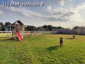 [P22] Laguna Vadu; prin incintă » foto by crismis
 - 
<span class="allrVoted glyphicon glyphicon-heart hidden" id="av1500495"></span>
<a class="m-l-10 hidden" id="sv1500495" onclick="voting_Foto_DelVot(,1500495,29137)" role="button">șterge vot <span class="glyphicon glyphicon-remove"></span></a>
<a id="v91500495" class=" c-red"  onclick="voting_Foto_SetVot(1500495)" role="button"><span class="glyphicon glyphicon-heart-empty"></span> <b>LIKE</b> = Votează poza</a> <img class="hidden"  id="f1500495W9" src="/imagini/loader.gif" border="0" /><span class="AjErrMes hidden" id="e1500495ErM"></span>