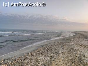 [P31] Plaja Vadu » foto by crismis
 - 
<span class="allrVoted glyphicon glyphicon-heart hidden" id="av1500504"></span>
<a class="m-l-10 hidden" id="sv1500504" onclick="voting_Foto_DelVot(,1500504,29137)" role="button">șterge vot <span class="glyphicon glyphicon-remove"></span></a>
<a id="v91500504" class=" c-red"  onclick="voting_Foto_SetVot(1500504)" role="button"><span class="glyphicon glyphicon-heart-empty"></span> <b>LIKE</b> = Votează poza</a> <img class="hidden"  id="f1500504W9" src="/imagini/loader.gif" border="0" /><span class="AjErrMes hidden" id="e1500504ErM"></span>