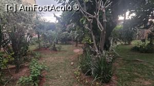 [P03] prin grădină » foto by robert
 - 
<span class="allrVoted glyphicon glyphicon-heart hidden" id="av1500569"></span>
<a class="m-l-10 hidden" id="sv1500569" onclick="voting_Foto_DelVot(,1500569,29138)" role="button">șterge vot <span class="glyphicon glyphicon-remove"></span></a>
<a id="v91500569" class=" c-red"  onclick="voting_Foto_SetVot(1500569)" role="button"><span class="glyphicon glyphicon-heart-empty"></span> <b>LIKE</b> = Votează poza</a> <img class="hidden"  id="f1500569W9" src="/imagini/loader.gif" border="0" /><span class="AjErrMes hidden" id="e1500569ErM"></span>