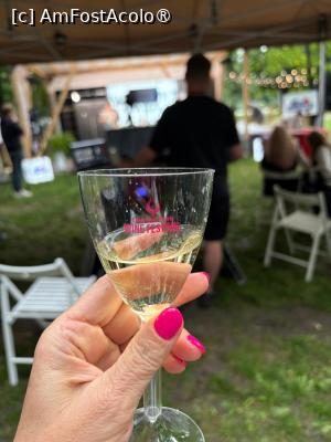 [P13] La festivalul vinului! » foto by ARA
 - 
<span class="allrVoted glyphicon glyphicon-heart hidden" id="av1500612"></span>
<a class="m-l-10 hidden" id="sv1500612" onclick="voting_Foto_DelVot(,1500612,29139)" role="button">șterge vot <span class="glyphicon glyphicon-remove"></span></a>
<a id="v91500612" class=" c-red"  onclick="voting_Foto_SetVot(1500612)" role="button"><span class="glyphicon glyphicon-heart-empty"></span> <b>LIKE</b> = Votează poza</a> <img class="hidden"  id="f1500612W9" src="/imagini/loader.gif" border="0" /><span class="AjErrMes hidden" id="e1500612ErM"></span>