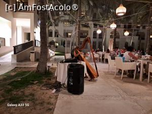 [P02] Dine Around la restaurantul spaniol Aubergine - muzică live » foto by nicole33
 - 
<span class="allrVoted glyphicon glyphicon-heart hidden" id="av1501315"></span>
<a class="m-l-10 hidden" id="sv1501315" onclick="voting_Foto_DelVot(,1501315,29142)" role="button">șterge vot <span class="glyphicon glyphicon-remove"></span></a>
<a id="v91501315" class=" c-red"  onclick="voting_Foto_SetVot(1501315)" role="button"><span class="glyphicon glyphicon-heart-empty"></span> <b>LIKE</b> = Votează poza</a> <img class="hidden"  id="f1501315W9" src="/imagini/loader.gif" border="0" /><span class="AjErrMes hidden" id="e1501315ErM"></span>