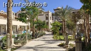 [P56]  -- <small>// FĂRĂ DESCRIERE</small> » foto by elenaadina
 - 
<span class="allrVoted glyphicon glyphicon-heart hidden" id="av1502029"></span>
<a class="m-l-10 hidden" id="sv1502029" onclick="voting_Foto_DelVot(,1502029,29144)" role="button">șterge vot <span class="glyphicon glyphicon-remove"></span></a>
<a id="v91502029" class=" c-red"  onclick="voting_Foto_SetVot(1502029)" role="button"><span class="glyphicon glyphicon-heart-empty"></span> <b>LIKE</b> = Votează poza</a> <img class="hidden"  id="f1502029W9" src="/imagini/loader.gif" border="0" /><span class="AjErrMes hidden" id="e1502029ErM"></span>