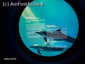 [P43] Cazinoul din Constanța » foto by nicole33
 - 
<span class="allrVoted glyphicon glyphicon-heart hidden" id="av1517372"></span>
<a class="m-l-10 hidden" id="sv1517372" onclick="voting_Foto_DelVot(,1517372,29149)" role="button">șterge vot <span class="glyphicon glyphicon-remove"></span></a>
<a id="v91517372" class=" c-red"  onclick="voting_Foto_SetVot(1517372)" role="button"><span class="glyphicon glyphicon-heart-empty"></span> <b>LIKE</b> = Votează poza</a> <img class="hidden"  id="f1517372W9" src="/imagini/loader.gif" border="0" /><span class="AjErrMes hidden" id="e1517372ErM"></span>