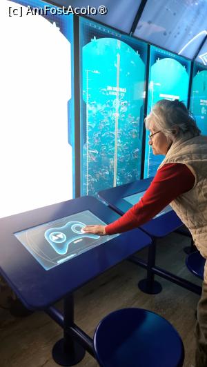 [P11]  -- <small>// FĂRĂ DESCRIERE</small> » foto by pepsi70ro
 - 
<span class="allrVoted glyphicon glyphicon-heart hidden" id="av1502216"></span>
<a class="m-l-10 hidden" id="sv1502216" onclick="voting_Foto_DelVot(,1502216,29149)" role="button">șterge vot <span class="glyphicon glyphicon-remove"></span></a>
<a id="v91502216" class=" c-red"  onclick="voting_Foto_SetVot(1502216)" role="button"><span class="glyphicon glyphicon-heart-empty"></span> <b>LIKE</b> = Votează poza</a> <img class="hidden"  id="f1502216W9" src="/imagini/loader.gif" border="0" /><span class="AjErrMes hidden" id="e1502216ErM"></span>