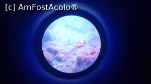 [P21]  -- <small>// FĂRĂ DESCRIERE</small> » foto by pepsi70ro
 - 
<span class="allrVoted glyphicon glyphicon-heart hidden" id="av1502226"></span>
<a class="m-l-10 hidden" id="sv1502226" onclick="voting_Foto_DelVot(,1502226,29149)" role="button">șterge vot <span class="glyphicon glyphicon-remove"></span></a>
<a id="v91502226" class=" c-red"  onclick="voting_Foto_SetVot(1502226)" role="button"><span class="glyphicon glyphicon-heart-empty"></span> <b>LIKE</b> = Votează poza</a> <img class="hidden"  id="f1502226W9" src="/imagini/loader.gif" border="0" /><span class="AjErrMes hidden" id="e1502226ErM"></span>