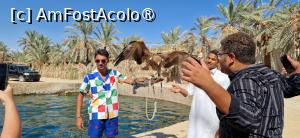 [P12] 12. Ghidul nostru și stăpânul șoimului. » foto by doinafil
 - 
<span class="allrVoted glyphicon glyphicon-heart hidden" id="av1502777"></span>
<a class="m-l-10 hidden" id="sv1502777" onclick="voting_Foto_DelVot(,1502777,29152)" role="button">șterge vot <span class="glyphicon glyphicon-remove"></span></a>
<a id="v91502777" class=" c-red"  onclick="voting_Foto_SetVot(1502777)" role="button"><span class="glyphicon glyphicon-heart-empty"></span> <b>LIKE</b> = Votează poza</a> <img class="hidden"  id="f1502777W9" src="/imagini/loader.gif" border="0" /><span class="AjErrMes hidden" id="e1502777ErM"></span>