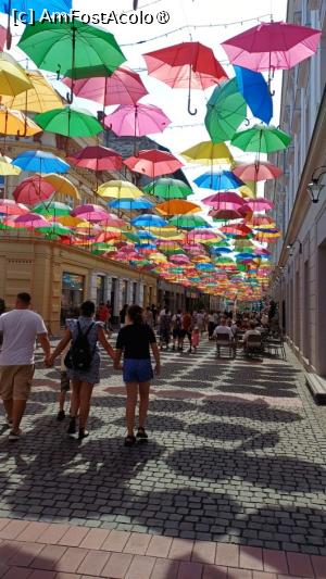 [P01] Pe străzile Timișoarei... » foto by tata123 🔱
 - 
<span class="allrVoted glyphicon glyphicon-heart hidden" id="av1503218"></span>
<a class="m-l-10 hidden" id="sv1503218" onclick="voting_Foto_DelVot(,1503218,29157)" role="button">șterge vot <span class="glyphicon glyphicon-remove"></span></a>
<a id="v91503218" class=" c-red"  onclick="voting_Foto_SetVot(1503218)" role="button"><span class="glyphicon glyphicon-heart-empty"></span> <b>LIKE</b> = Votează poza</a> <img class="hidden"  id="f1503218W9" src="/imagini/loader.gif" border="0" /><span class="AjErrMes hidden" id="e1503218ErM"></span>