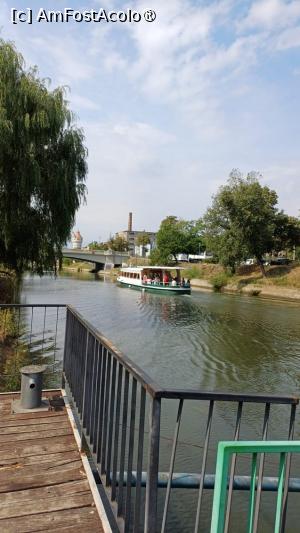 [P02] Pe apele Timișoarei... » foto by tata123 🔱
 - 
<span class="allrVoted glyphicon glyphicon-heart hidden" id="av1503219"></span>
<a class="m-l-10 hidden" id="sv1503219" onclick="voting_Foto_DelVot(,1503219,29157)" role="button">șterge vot <span class="glyphicon glyphicon-remove"></span></a>
<a id="v91503219" class=" c-red"  onclick="voting_Foto_SetVot(1503219)" role="button"><span class="glyphicon glyphicon-heart-empty"></span> <b>LIKE</b> = Votează poza</a> <img class="hidden"  id="f1503219W9" src="/imagini/loader.gif" border="0" /><span class="AjErrMes hidden" id="e1503219ErM"></span>