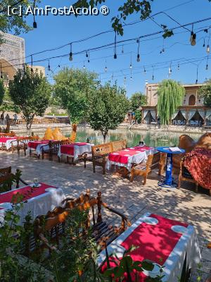 [P36] Labi Hovuz » foto by adso
 - 
<span class="allrVoted glyphicon glyphicon-heart hidden" id="av1503852"></span>
<a class="m-l-10 hidden" id="sv1503852" onclick="voting_Foto_DelVot(,1503852,29161)" role="button">șterge vot <span class="glyphicon glyphicon-remove"></span></a>
<a id="v91503852" class=" c-red"  onclick="voting_Foto_SetVot(1503852)" role="button"><span class="glyphicon glyphicon-heart-empty"></span> <b>LIKE</b> = Votează poza</a> <img class="hidden"  id="f1503852W9" src="/imagini/loader.gif" border="0" /><span class="AjErrMes hidden" id="e1503852ErM"></span>