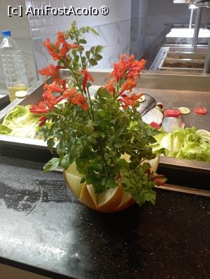 [P32]  -- <small>// FĂRĂ DESCRIERE</small> » foto by Ella Elle
 - 
<span class="allrVoted glyphicon glyphicon-heart hidden" id="av1504075"></span>
<a class="m-l-10 hidden" id="sv1504075" onclick="voting_Foto_DelVot(,1504075,29162)" role="button">șterge vot <span class="glyphicon glyphicon-remove"></span></a>
<a id="v91504075" class=" c-red"  onclick="voting_Foto_SetVot(1504075)" role="button"><span class="glyphicon glyphicon-heart-empty"></span> <b>LIKE</b> = Votează poza</a> <img class="hidden"  id="f1504075W9" src="/imagini/loader.gif" border="0" /><span class="AjErrMes hidden" id="e1504075ErM"></span>