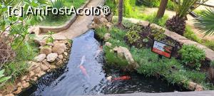 [P84] Quinta das Palmeiras,iaz cu pești » foto by irinad
 - 
<span class="allrVoted glyphicon glyphicon-heart hidden" id="av1505360"></span>
<a class="m-l-10 hidden" id="sv1505360" onclick="voting_Foto_DelVot(,1505360,29172)" role="button">șterge vot <span class="glyphicon glyphicon-remove"></span></a>
<a id="v91505360" class=" c-red"  onclick="voting_Foto_SetVot(1505360)" role="button"><span class="glyphicon glyphicon-heart-empty"></span> <b>LIKE</b> = Votează poza</a> <img class="hidden"  id="f1505360W9" src="/imagini/loader.gif" border="0" /><span class="AjErrMes hidden" id="e1505360ErM"></span>