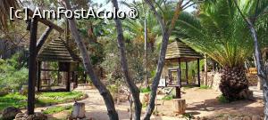 [P90] Quinta das Palmeiras, colivii cu păsări exotice » foto by irinad
 - 
<span class="allrVoted glyphicon glyphicon-heart hidden" id="av1505366"></span>
<a class="m-l-10 hidden" id="sv1505366" onclick="voting_Foto_DelVot(,1505366,29172)" role="button">șterge vot <span class="glyphicon glyphicon-remove"></span></a>
<a id="v91505366" class=" c-red"  onclick="voting_Foto_SetVot(1505366)" role="button"><span class="glyphicon glyphicon-heart-empty"></span> <b>LIKE</b> = Votează poza</a> <img class="hidden"  id="f1505366W9" src="/imagini/loader.gif" border="0" /><span class="AjErrMes hidden" id="e1505366ErM"></span>