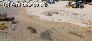 [P15] Palio Beach și cele două mici vedete » foto by Carmen Ion
 - 
<span class="allrVoted glyphicon glyphicon-heart hidden" id="av1507720"></span>
<a class="m-l-10 hidden" id="sv1507720" onclick="voting_Foto_DelVot(,1507720,29182)" role="button">șterge vot <span class="glyphicon glyphicon-remove"></span></a>
<a id="v91507720" class=" c-red"  onclick="voting_Foto_SetVot(1507720)" role="button"><span class="glyphicon glyphicon-heart-empty"></span> <b>LIKE</b> = Votează poza</a> <img class="hidden"  id="f1507720W9" src="/imagini/loader.gif" border="0" /><span class="AjErrMes hidden" id="e1507720ErM"></span>