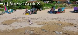 [P16] Palio Beach și cele două mici vedete » foto by Carmen Ion
 - 
<span class="allrVoted glyphicon glyphicon-heart hidden" id="av1507721"></span>
<a class="m-l-10 hidden" id="sv1507721" onclick="voting_Foto_DelVot(,1507721,29182)" role="button">șterge vot <span class="glyphicon glyphicon-remove"></span></a>
<a id="v91507721" class=" c-red"  onclick="voting_Foto_SetVot(1507721)" role="button"><span class="glyphicon glyphicon-heart-empty"></span> <b>LIKE</b> = Votează poza</a> <img class="hidden"  id="f1507721W9" src="/imagini/loader.gif" border="0" /><span class="AjErrMes hidden" id="e1507721ErM"></span>